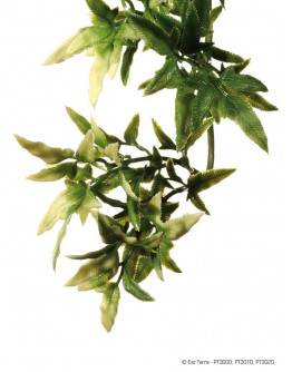 Exo Terra - Croton - Small