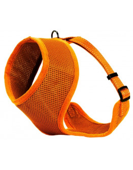 Kattsele Iris Orange XS