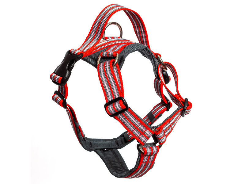 Future Walking Sele Röd - XXL