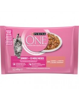 Purina ONE Junior - 4 x 85 g Lax & morötter