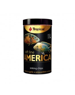 Tropical Soft Line America L - 100 ml