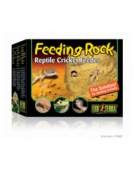 Exo Terra Feeding Rock - 12,5x9x9,5 cm