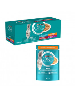 PURINA ONE 40 x 85 g mixpack + 13 x 85 g mer på köpet - 40 x 85 g Blandat urval (4 varianter) + 13 x 85 g Adult kyckling & gröna bönor