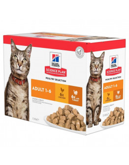 Adult våtfoder med kyckling och kalkon för katt - 12 x 85 g