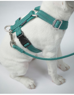Easy Harness Reflekterande Hundsele Emerald - L