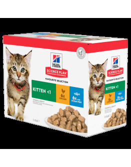 Kitten våtfoder med kyckling och kalkon - 12 x 85 g