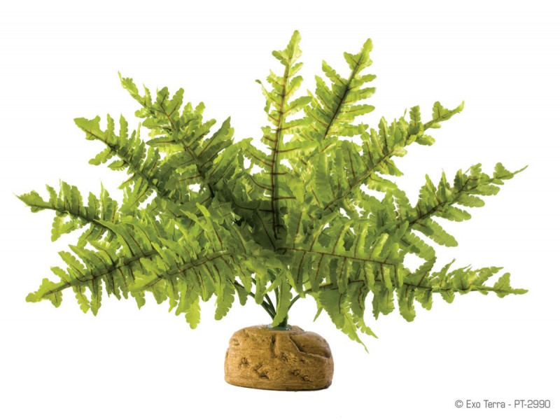 Exo Terra Ormbunke - Liten