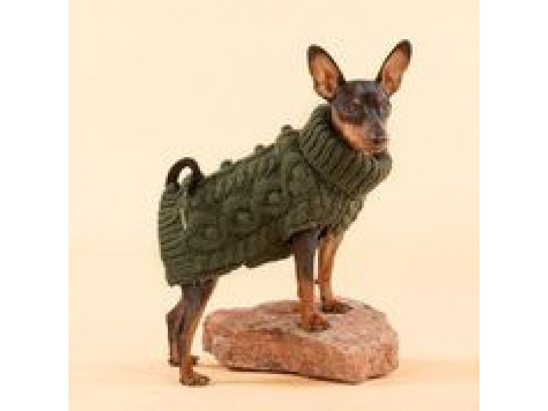 Handstickad tröja för hund, Grön - 25