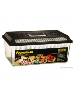 Exo Terra Faunarium - Large/Wide - 36x21x16 cm