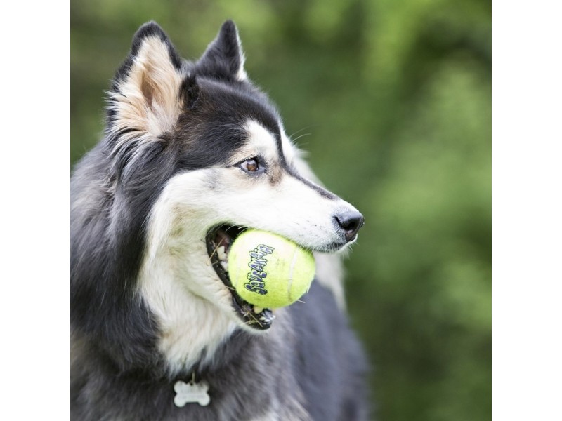 KONG Airdog Squeaker Boll med Snöre