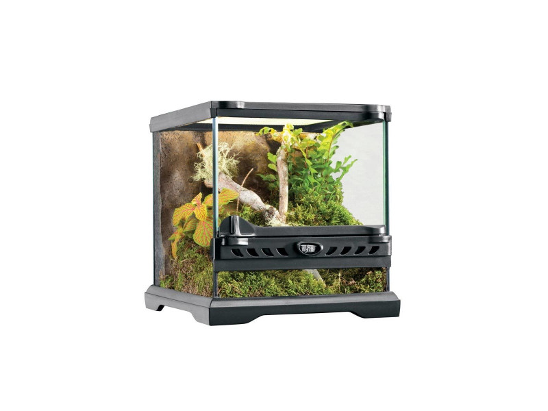 Exo Terra Nano - Terrarium - 20x20x20