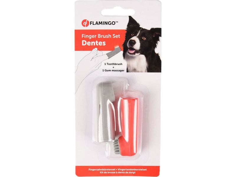 Fingertandborste för hund - 2-pack