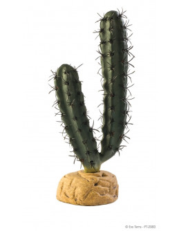 Exo Terra Fingerkaktus - Ökenväxt