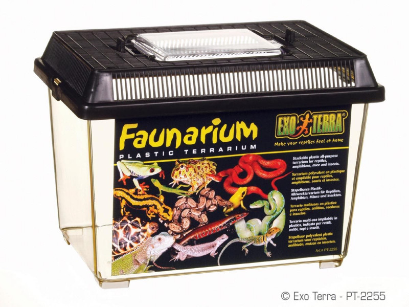 Exo Terra Faunarium - Small - 23x15,5x17 cm
