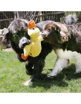 KONG Jumbo XL Duck Hundleksak - Jumbo XL Duck