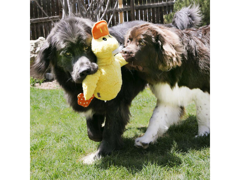 KONG Jumbo XL Duck Hundleksak - Jumbo XL Duck