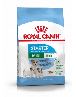 Royal Canin Mini Starter Torrfoder för hund 