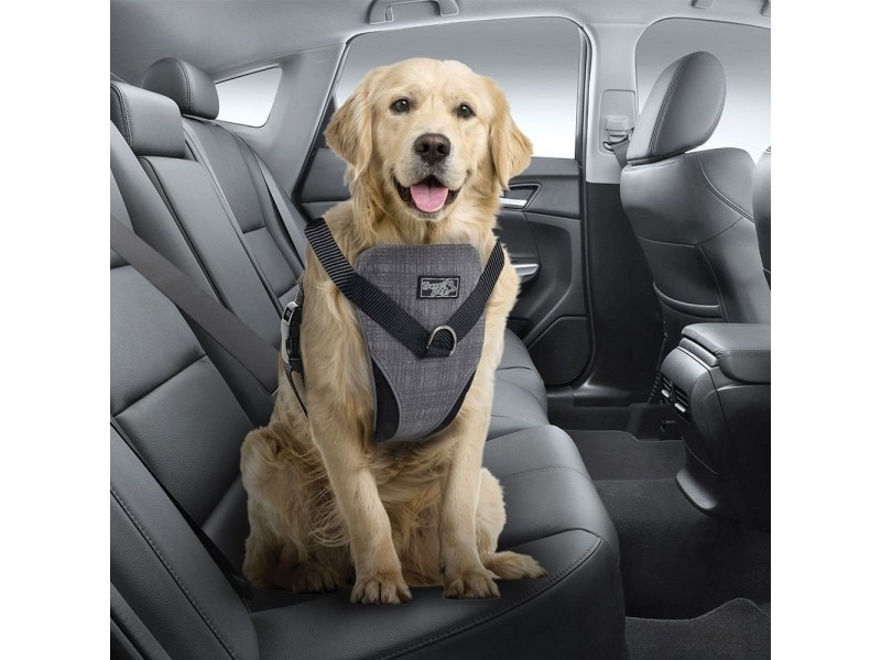 All For Paws Dog Bilsele (XL) All For Paws Dog Bilsele (XL)
