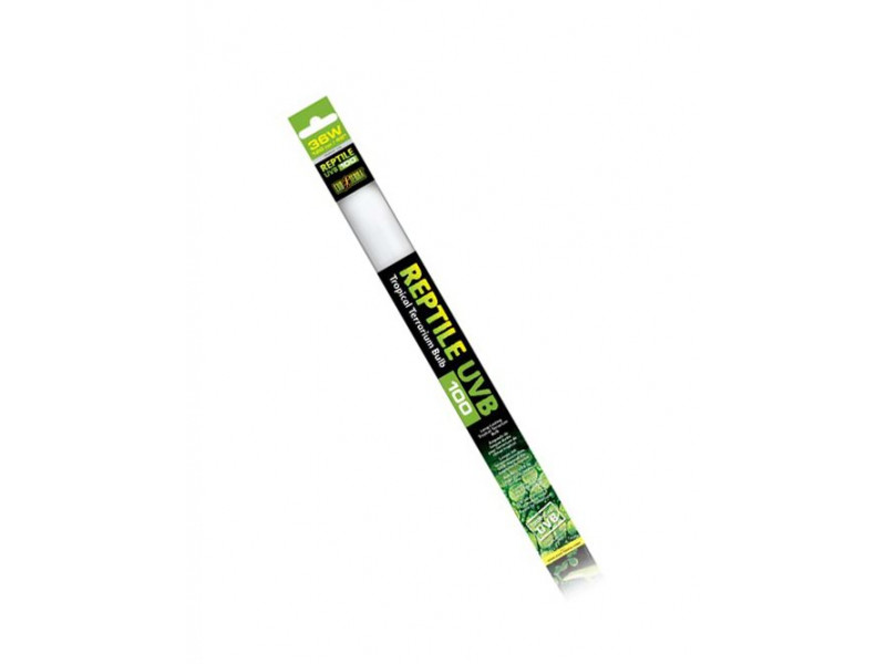 Exo Terra Reptile UVB100 - T8 - 120 cm - 36 W Exo Terra Reptile UVB100 - T8 - 120 cm - 36 W