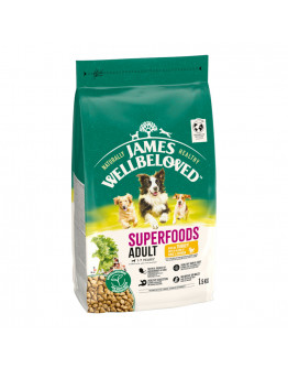 James Wellbeloved Superfoods Adult Dog Hypoallergenic med kalkon, grönkål & quinoa - 1,5 kg