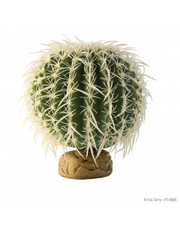 Exo Terra Bollkaktus - Stor Ökenväxt