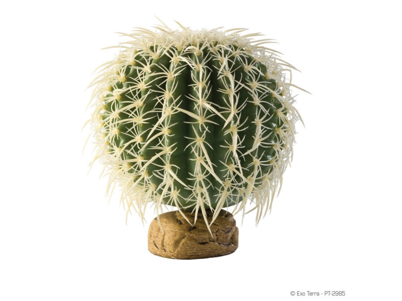 Exo Terra Bollkaktus - Stor Ökenväxt