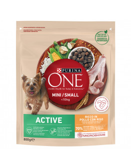 Purina One Mini Active Kyckling & ris 800 g