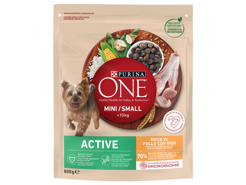 Purina One Mini Active Kyckling & ris Ekonomipack 3 x 800 g