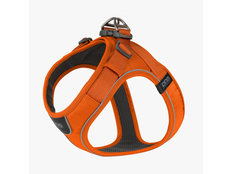 Comfort Walk Go Hundsele - M / Orange Sun