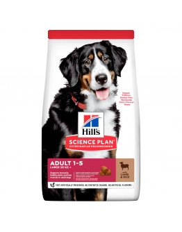 Adult Large Breed torrfoder med lamm och ris Hundfoder - 14 kg