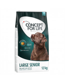 Concept for Life Large Senior