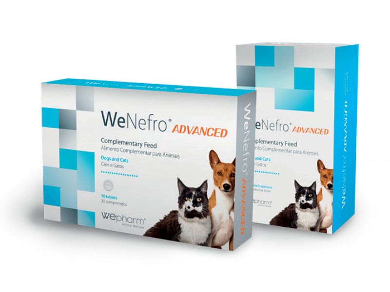 Hundhalsband Signature Brun & Senapsgul - Denjo Dogs 