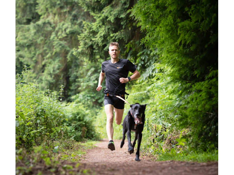 CaniX Belt Löpningsbälte - Large
