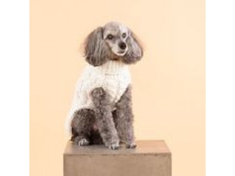 Handstickad tröja för hund, Vit - 45