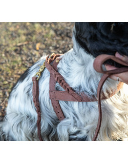 COMING SOON Hundsele Stockholm Läder Hazel - Denjo Dogs