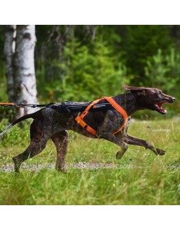 Non-Stop Dogwear Freemotion 5.0 Dragsele Orange & Svart (7)