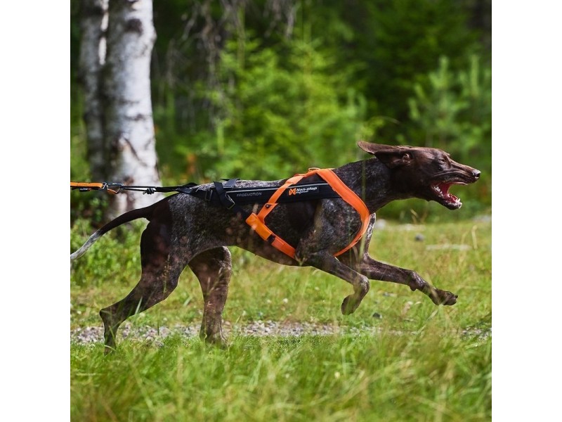 Non-Stop Dogwear Freemotion 5.0 Dragsele Orange & Svart (7)