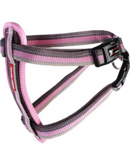 EzyDog Chest Plate Hundsele - Candy - XXL