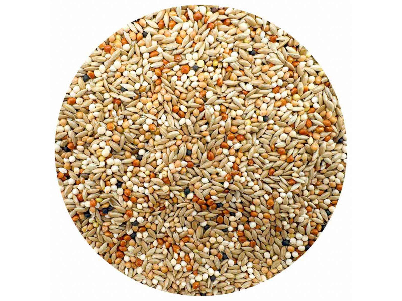 Bello Undulatblandning Deluxe - 25 kg