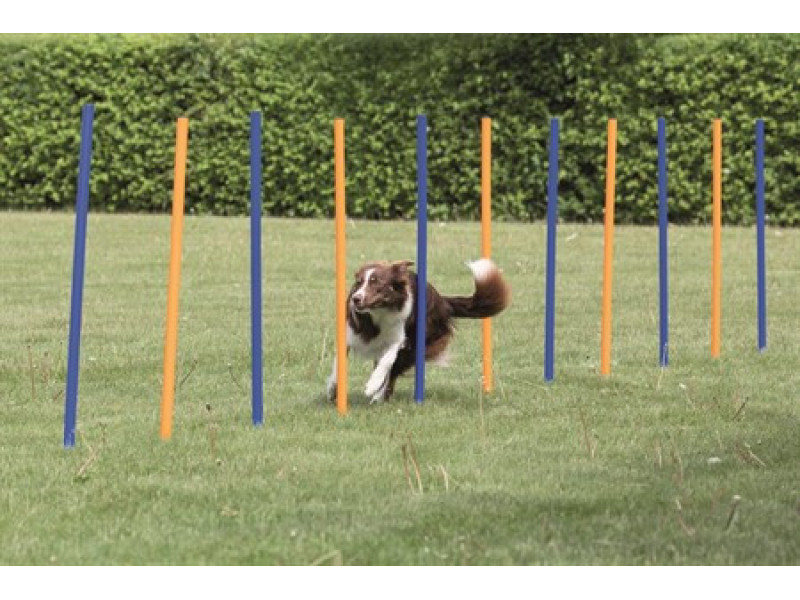 Agility Slalompinnar 12-pack till Hund - 12 st  x 115 cm