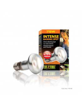 Exo Terra Intense Basking Spot 75 W