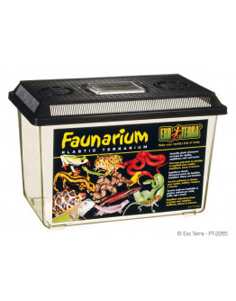 Exo Terra Faunarium - Large - 37x22x25 cm