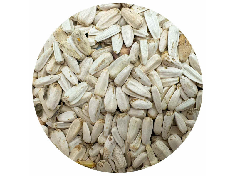 Solrosfrö - Vita - 3 Kg