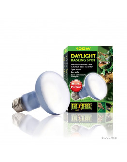 Exo Terra Daylight Basking Spot 100 W