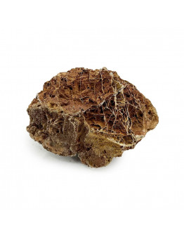 HS Aqua Maple Leaf Rock - M - 2-2,5 kg - 1 st