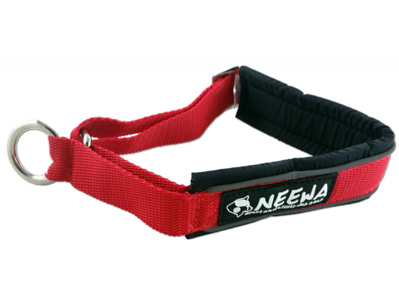 Halsband Halvstryp - Large / Blå