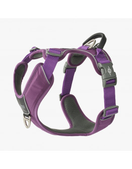 Comfort Walk Pro Hundsele - XL / Purple Passion