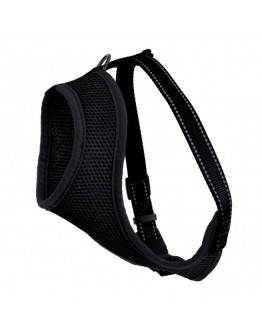 Kattsele Iris Svart S
