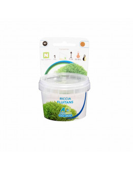 Easy Grow - Riccia Fluitans