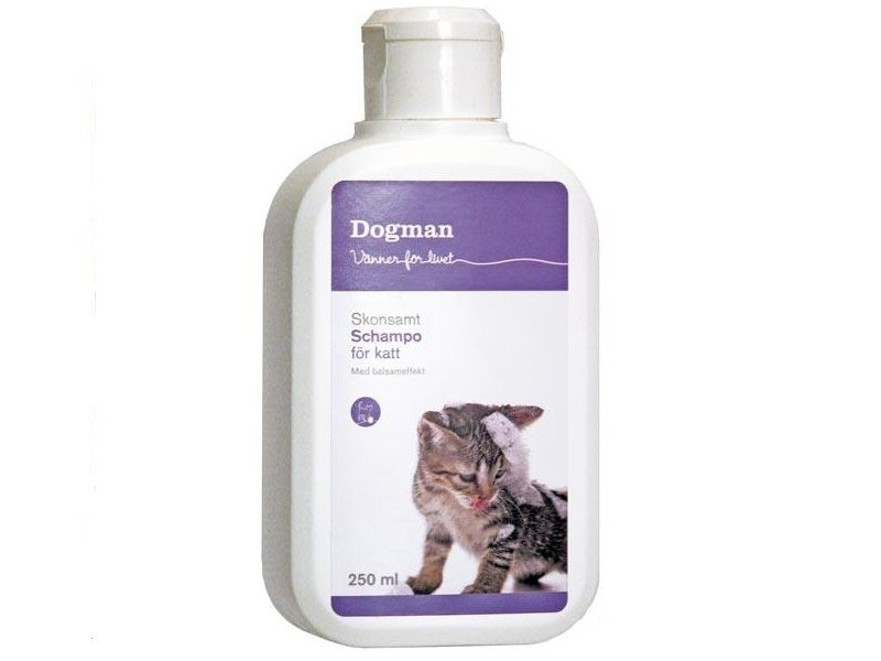 Kattschampo